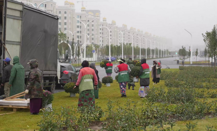 Ко Дню города Грозный украсит 130 тысяч цветов