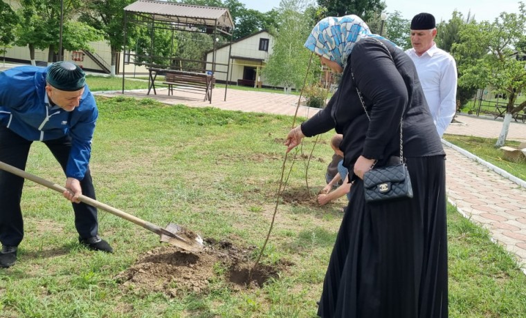 В Алпатовском социально-оздоровительном центре прошла акция «Уютный дом»