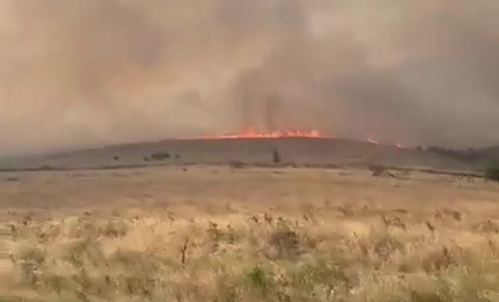 Не поджигай сухую траву! – МЧС России предупреждает о последствиях поджога