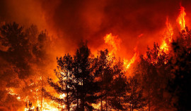 В Чеченской Республике 28–29 июля прогнозируют 5-й класс пожароопасности