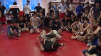 Меньше двух недель остается до зрелищного турнира Akhmat Fight Show 