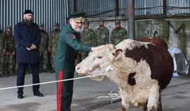 В Управлении Росгвардии по ЧР состоялось благотворительное мероприятие ко Дню памяти и скорби| грозный, чгтрк