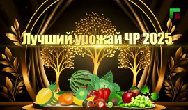 ЧГТРК 
