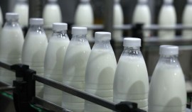 Инспекторы Россельхознадзора зафиксировали массовые нарушения в компоненте «Меркурий»