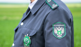 Россельхознадзор упростил оформление актов карантинного обеззараживания