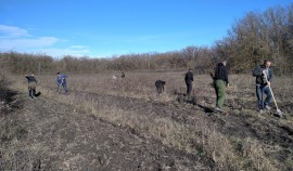 В рамках нацпроекта завершены мероприятия по дополнению лесных культур в ЧР