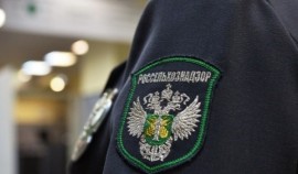 Вступает в силу новое лицензирование фитосанитарного обеззараживания