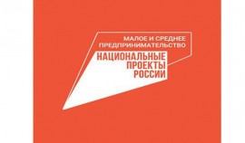 Доля закупок госкомпаний у МСП за первое полугодие превысила 50%, составив более 2,5 трлн рублей