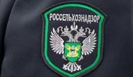 Россельхознадзор выявил зарастание 150 га сельхозземель в ЧР