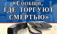 В Чечне пройдет 1-й этап Общероссийской акции «Сообщи, где торгуют смертью»