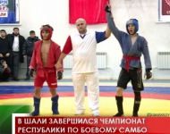 В Шали завершился Чемпионат республики по боевому самбо