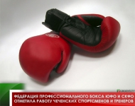 Федерация профессионального бокса ЮФО и СКФО отметила работу чеченских спортсменов и тренеров