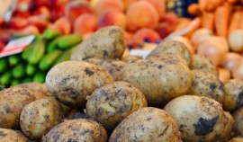 Российские сельхозпроизводители столкнулись с нехваткой мощностей для хранения овощей