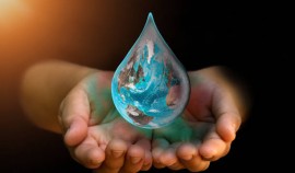 В школах России запустили программу экоуроков о чистом воздухе