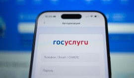 На Госуслугах запущен новый сервис для будущих родителей «Планирование и рождение ребёнка»