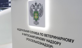 Россельхознадзор подвел итоги цифровой трансформации в 2025 году