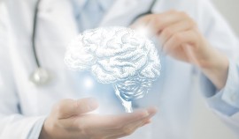 Ученые нашли белок, который блокирует процесс старения мозга