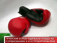 Чеченские бойцы одержали победу на соревнованиях в Краснодарском крае