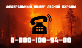 Минприроды ЧР рекомендует соблюдать правила пожарной безопасности