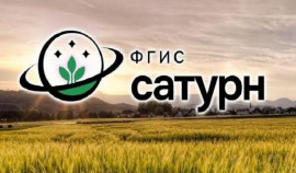 Россельхознадзор упростил учет средств защиты растений с помощью нового мобильного приложения