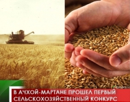 В Ачхой-Мартане прошел первый сельскохозяйственный конкурс