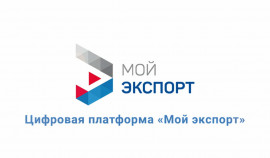 На цифровой платформе «Мой экспорт» появился новый онлайн-сервис «Экспортные ниши»