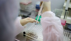 В России провели более 61,5 миллиона тестов на COVID-19