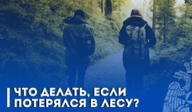 Спасатели объяснили, как правильно действовать в лесу в экстренной ситуации