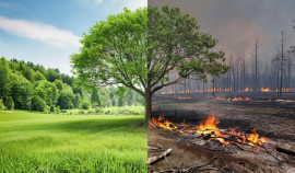 Что нельзя делать при высокой пожароопасности?