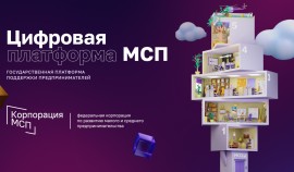 Цифровая платформа МСП.РФ расширяет доступ бизнеса к мерам поддержки через мобильное приложение