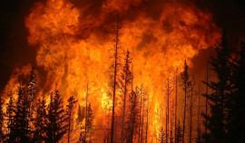 21 и 22 июля в ЧР ожидается чрезвычайная пожароопасность