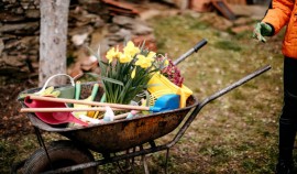 Весенние субботники проходят в Грозненском муниципальном районе