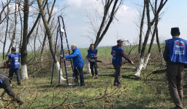 В Чеченской Республике партийцы «Единой России» и волонтеры вышли на уборку улиц
