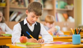 Должность директора школы может стать выборной