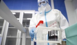 Число заразившихся коронавирусом в России за сутки возросло на 26 513