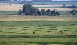 Россельхознадзор предупредил владельца земли в ЧР о нарушении закона из-за запущенных угодий