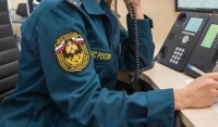Психологи МЧС приняли более 10 тыс. звонков на «горячую линию» по COVID-19
