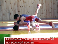 В Грозном стартует Первенство ЧР по вольной борьбе 
