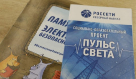 «Россети Северный Кавказ» втрое увеличили детские профилактические мероприятия