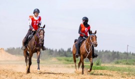 Представители 7 регионов России открывают сезон Кубка России по выездке