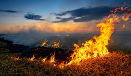 29 и 30 июля в ЧР сохраняется высокая и чрезвычайная пожароопасность