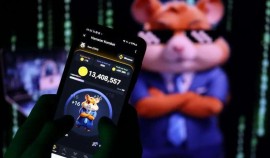 Почти треть игроков надеется заработать реальные деньги в Hamster Kombat