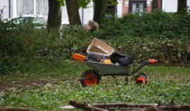 В Гудермесском районе Чеченской Республики начнутся работы по благоустройству зон отдыха