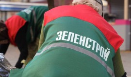 «Зеленстрой» готовится к зиме