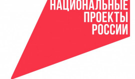 Актуальные вопросы реализации федпроекта в социальной сфере обсудили в ходе вкс