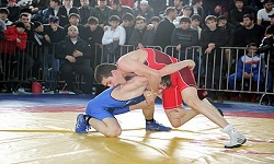 В Республике состоялся турнир по вольной борьбе