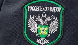 В ЧР под контролем Россельхознадзора оформлен вывоз собаки-компаньона за пределы РФ