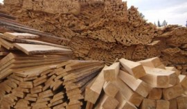 В ЧР с помощью ФГИС «Аргус-Фито» выявлено 12 нарушений при перемещении лесоматериалов