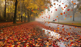 Дети радуются осени: праздники в Шелковском районе