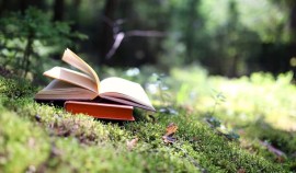 В Алхан-Калинской библиотеке открылась книжная выставка, посвященная семейным ценностям